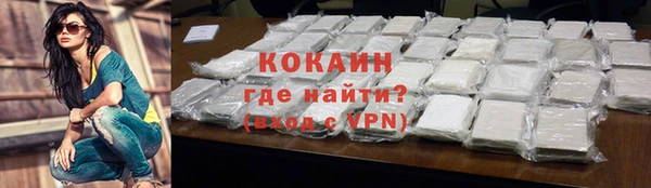 молекула духа Кущёвская