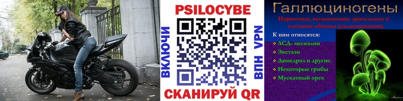 где продают   Снежинск  Псилоцибиновые грибы прущие грибы 
